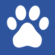 Dog Exercise Area