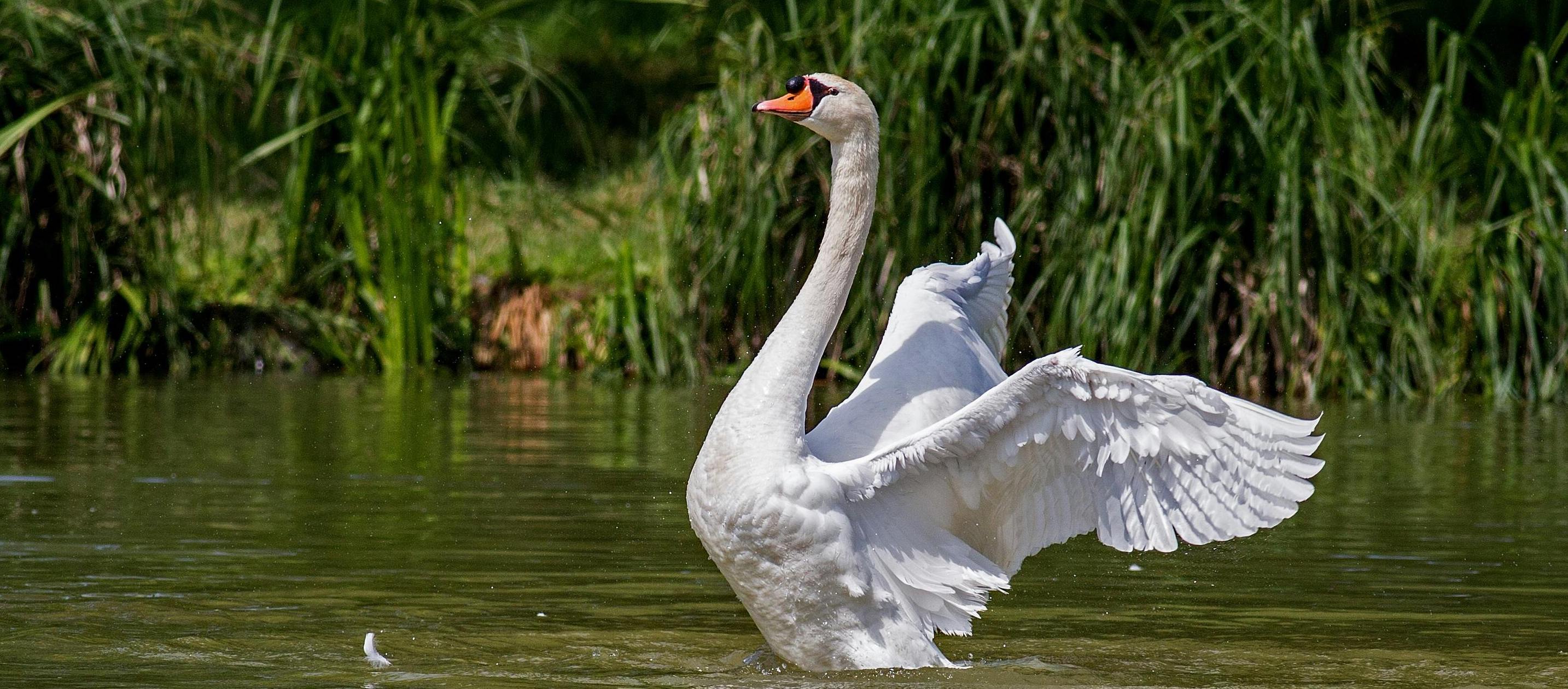family-friendly attraction in dorset