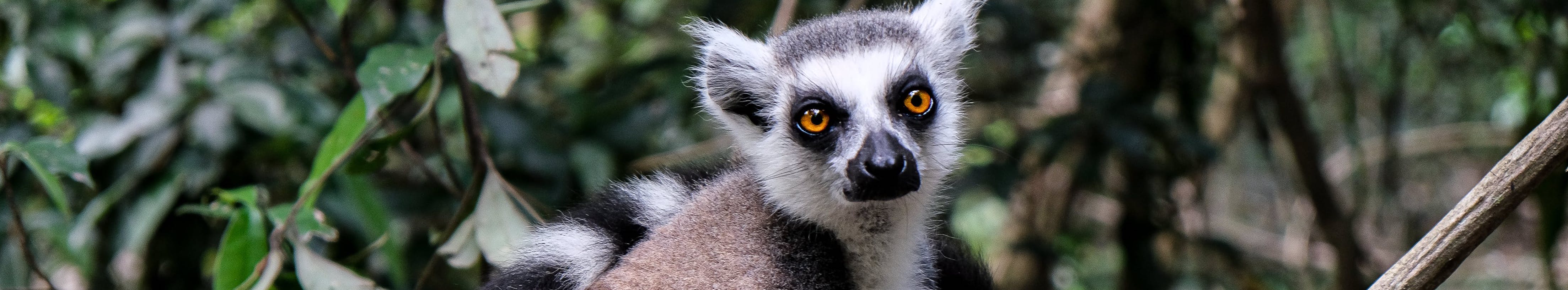 axe valley wildlife park