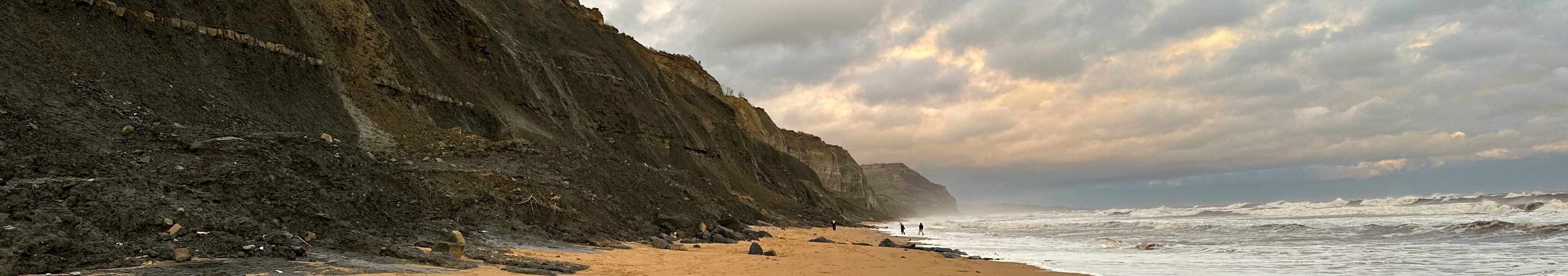 charmouth heritage centre things to do