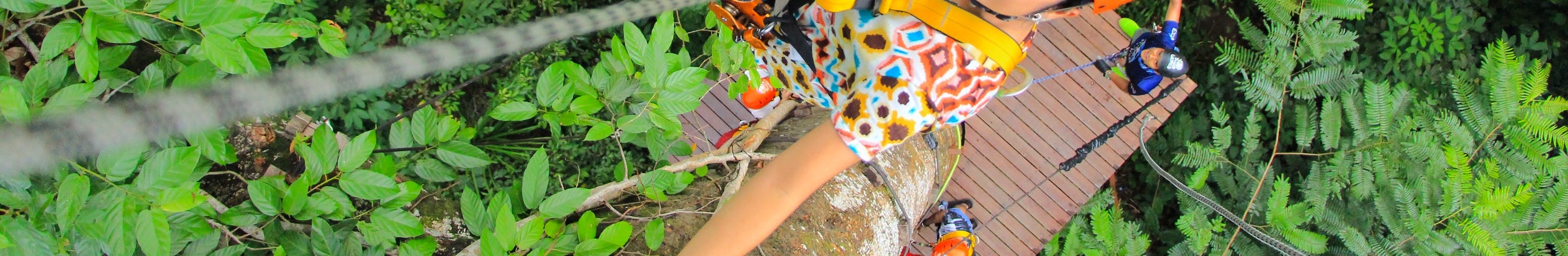 high rope and zip wire adventure course at Tunnel Tree Tops in Dorset