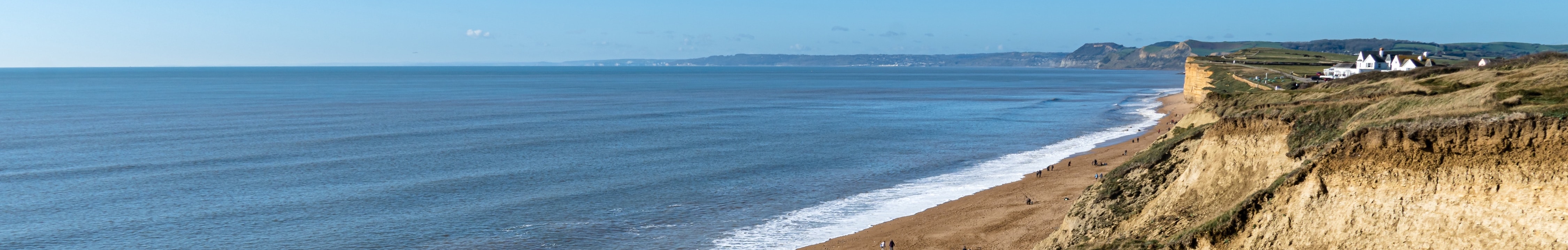 hive beach