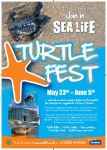 Weymouth Sealife Turtle Fest