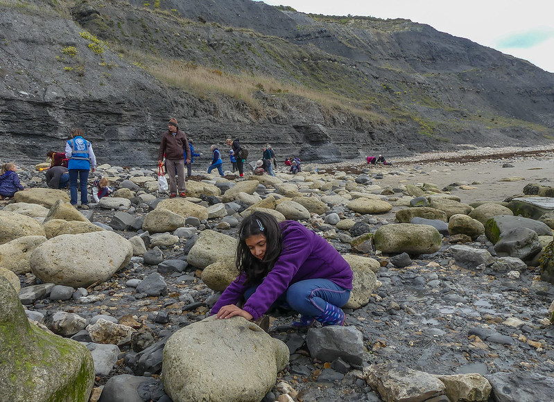 fossil hunting walk on charmouth beach